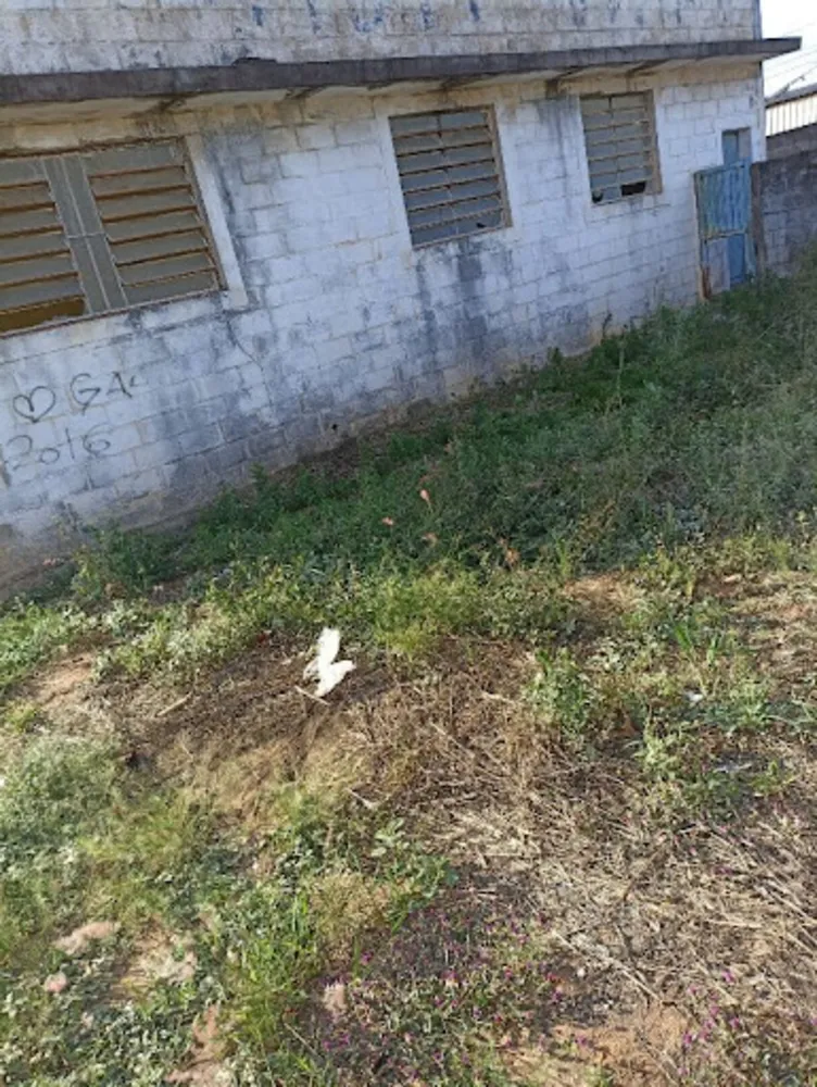 Terreno, 1000 m² - Foto 7