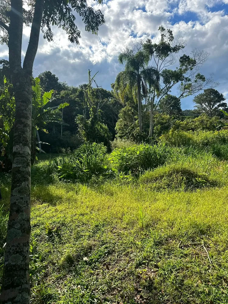 Terreno, 5000 m² - Foto 10