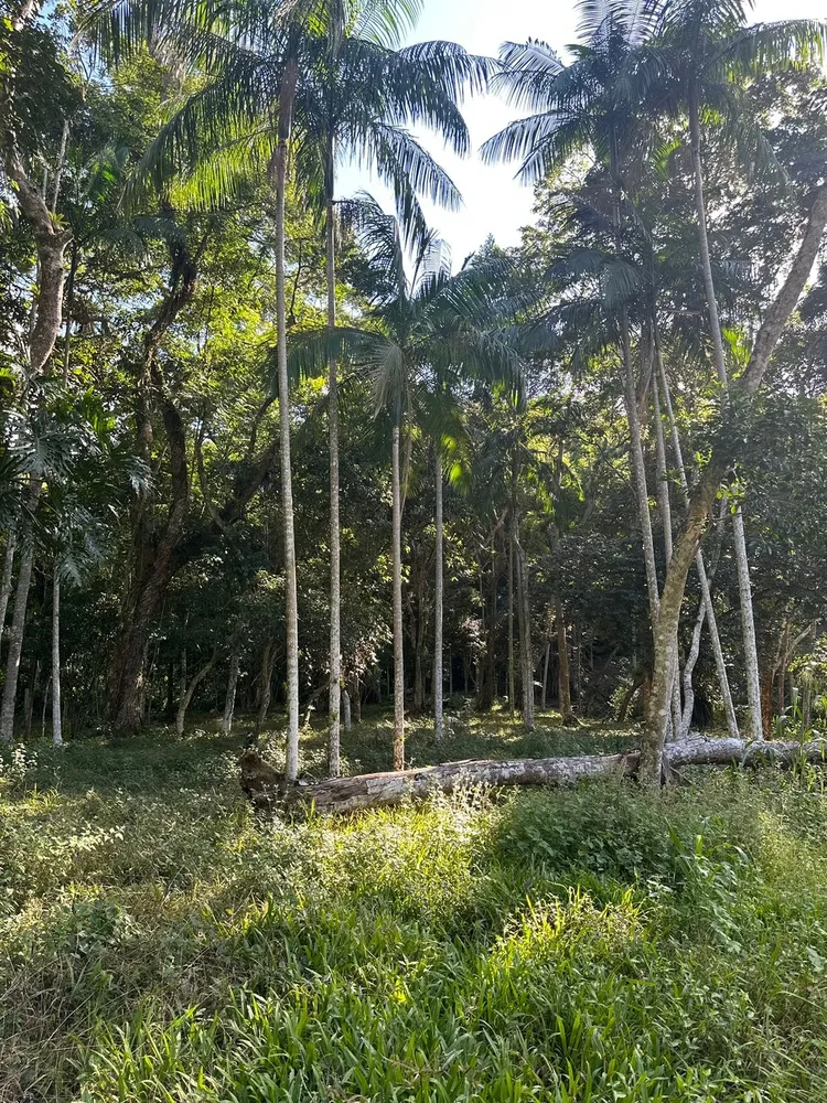 Terreno, 5000 m² - Foto 1