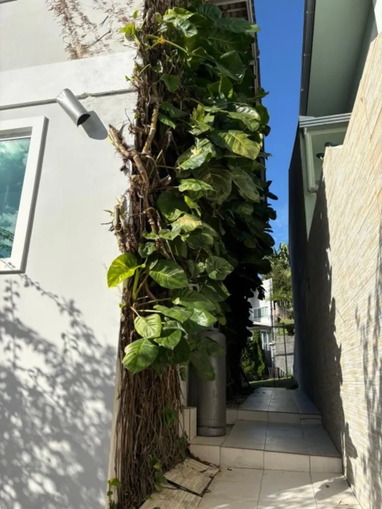 Sobrado, 3 quartos, 240 m² - Foto 2