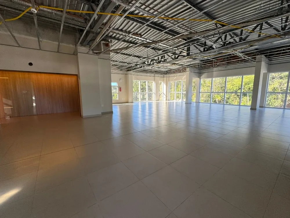 Sala-Conjunto, 250 m² - Foto 6