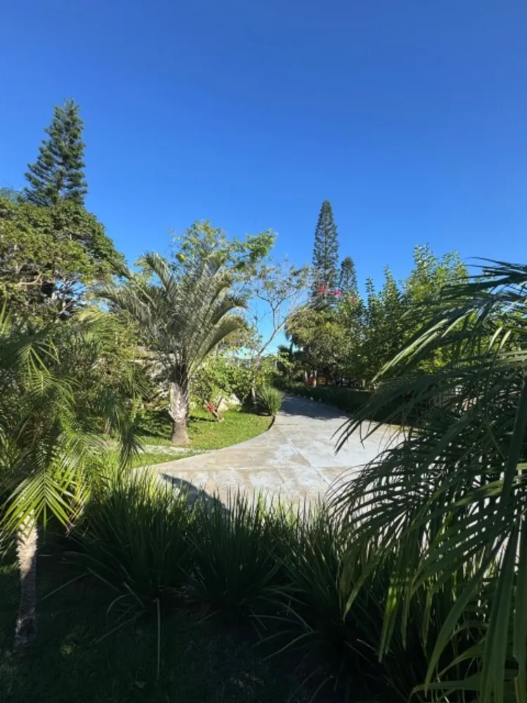 Terreno, 4500 m² - Foto 2