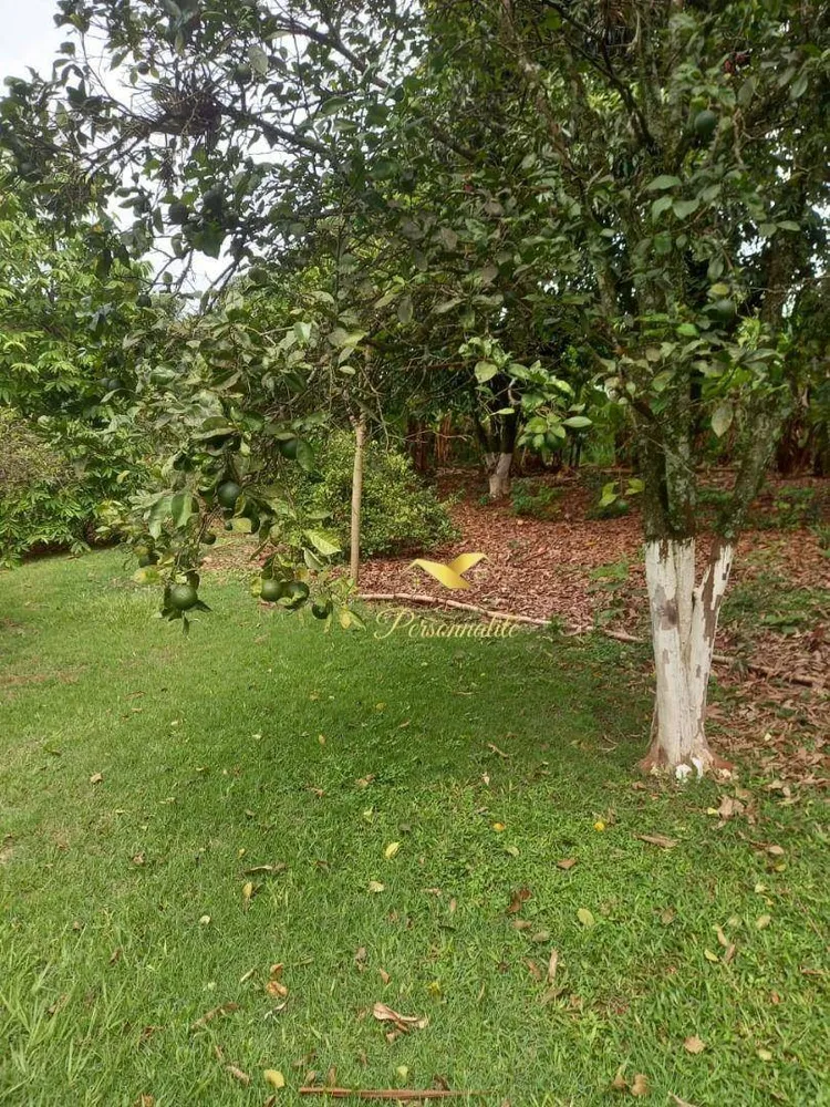Chácara, 4 quartos, 6054 m² - Foto 3