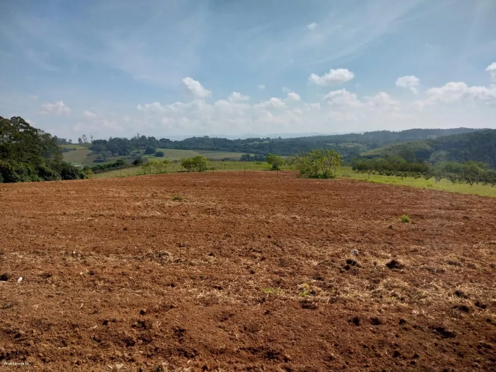 Terreno à venda, 21000m² - Foto 3