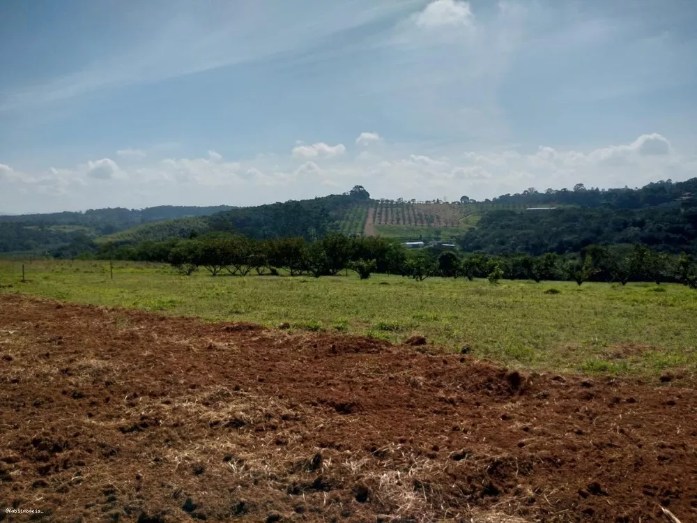 Terreno à venda, 21000m² - Foto 2