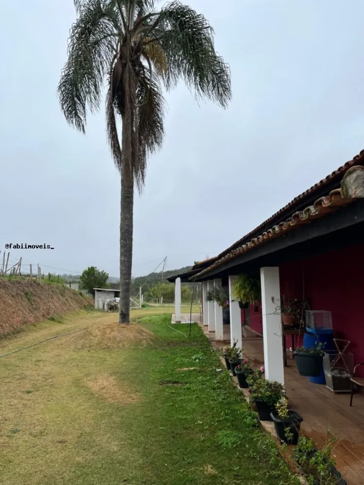 Chácara, 4 quartos, 6424 m² - Foto 10