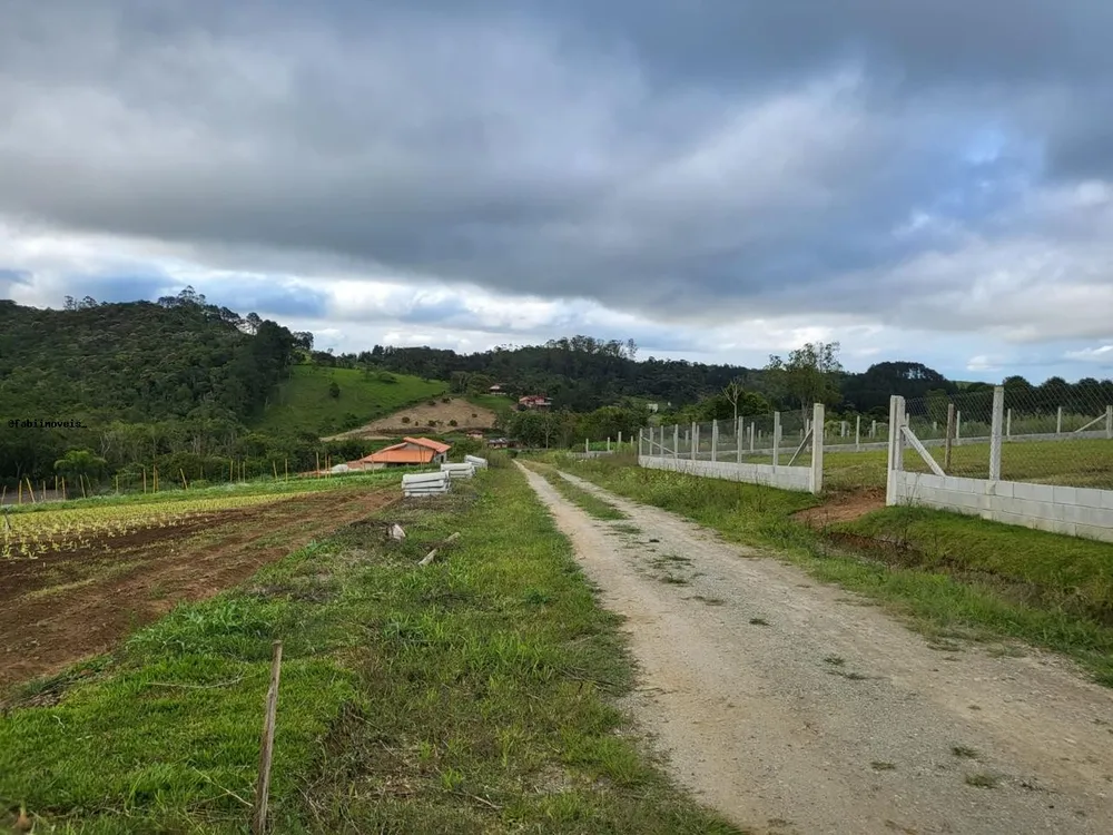 Chácara, 4 quartos, 6424 m² - Foto 15