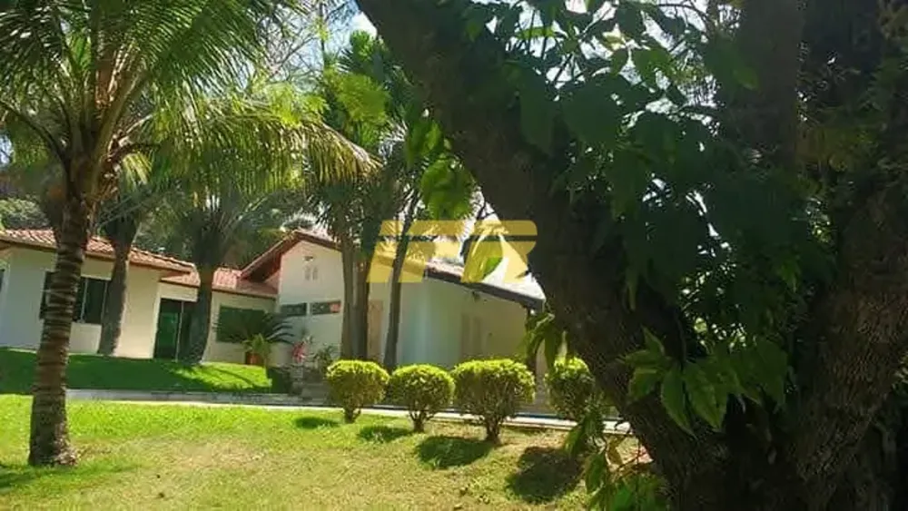 Chácara, 3 quartos, 5000 m² - Foto 3