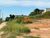 Terreno, 250 m² - Foto 1