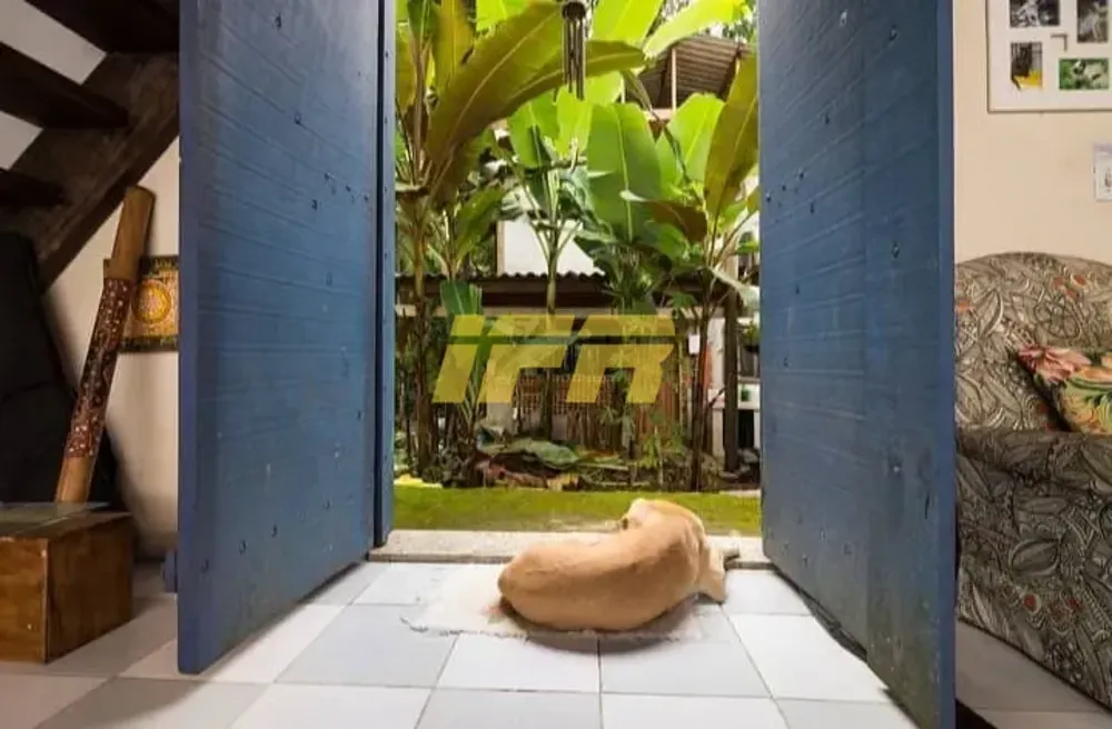 Casa, 7 quartos, 700 m² - Foto 6