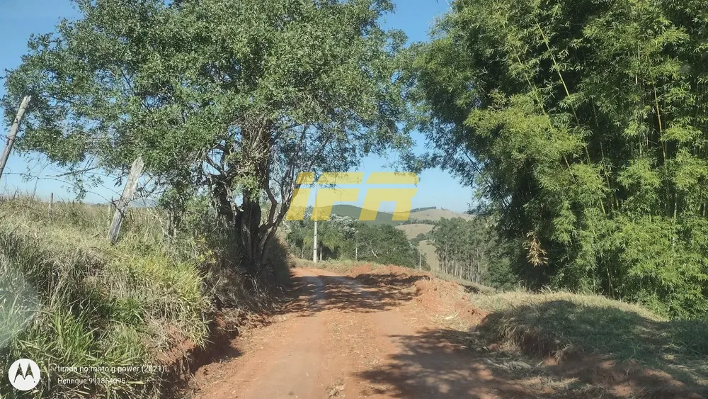 Sítio, 4 quartos, 31 hectares - Foto 2