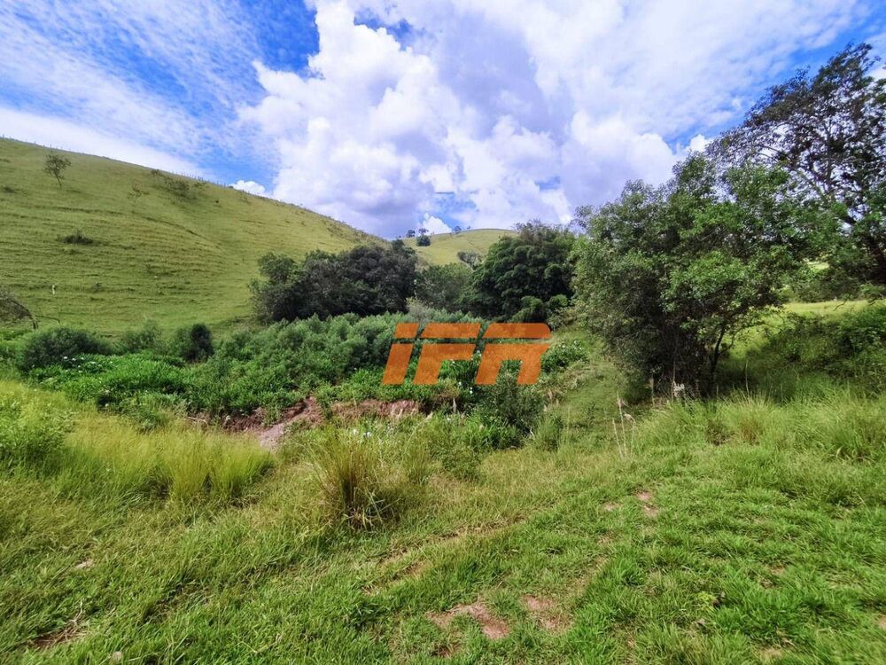 Sítio, 2 quartos, 46 hectares - Foto 14