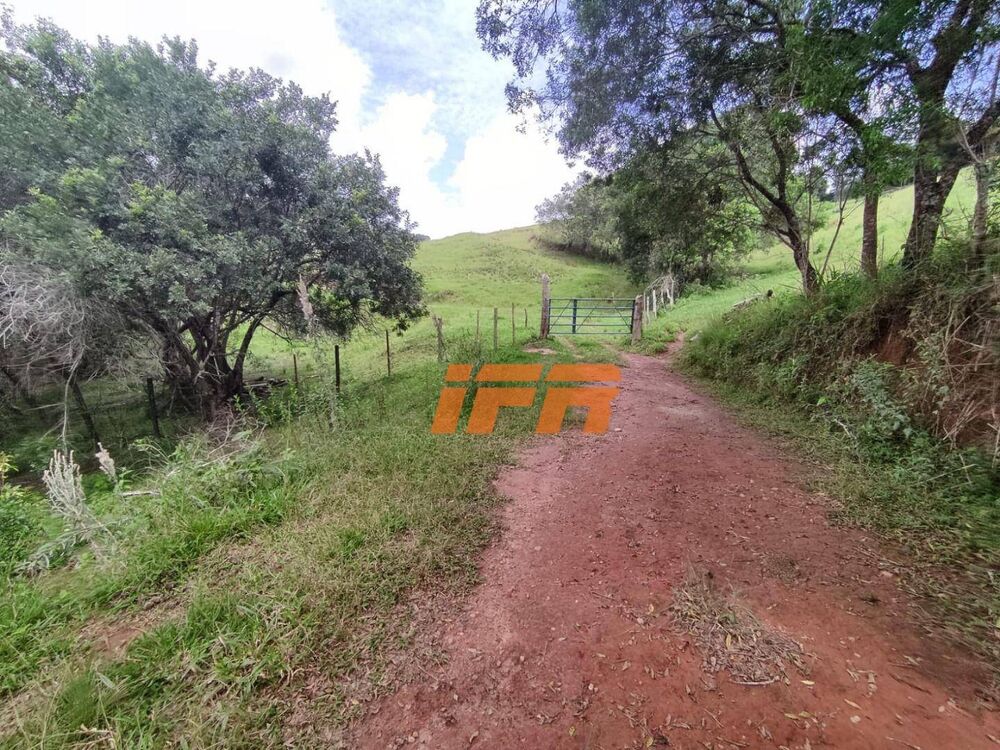 Sítio, 2 quartos, 46 hectares - Foto 13