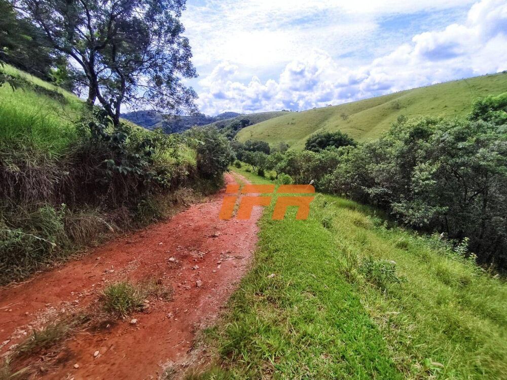 Sítio, 2 quartos, 46 hectares - Foto 12