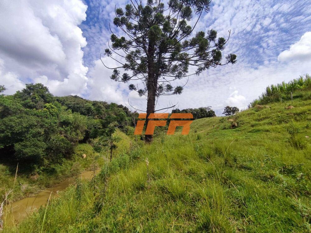 Sítio, 2 quartos, 46 hectares - Foto 9