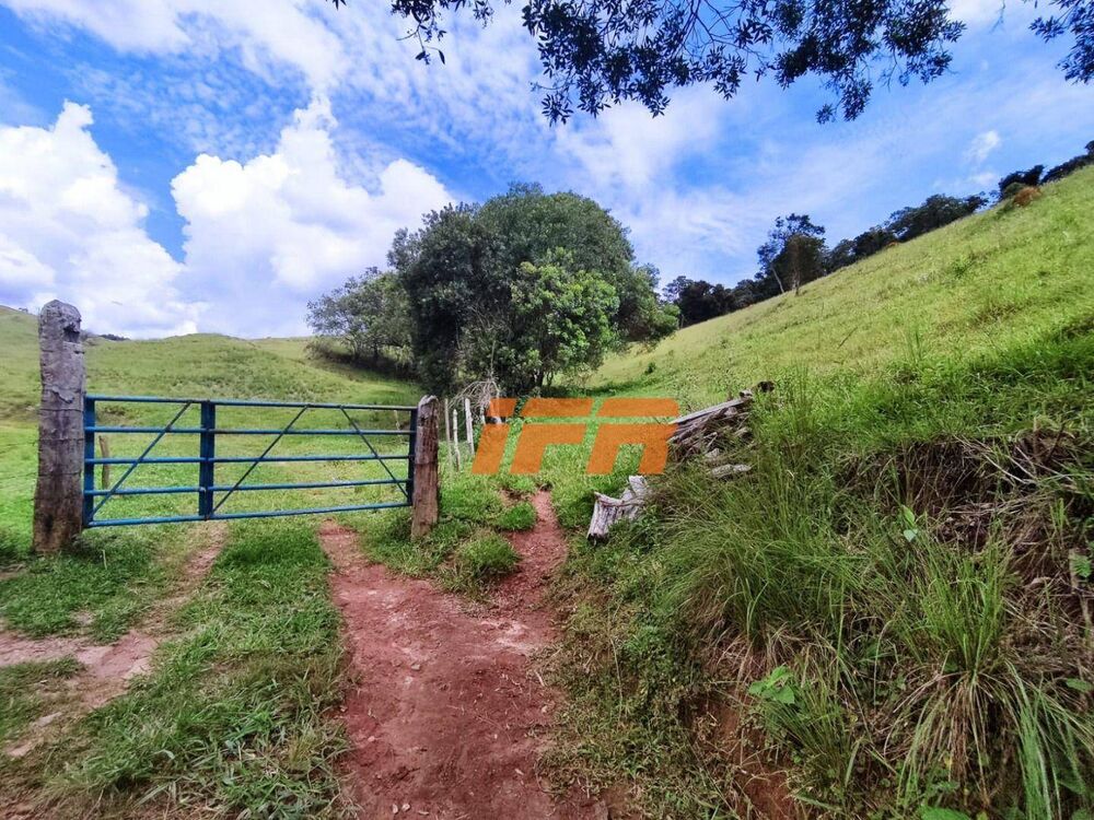 Sítio, 2 quartos, 46 hectares - Foto 10