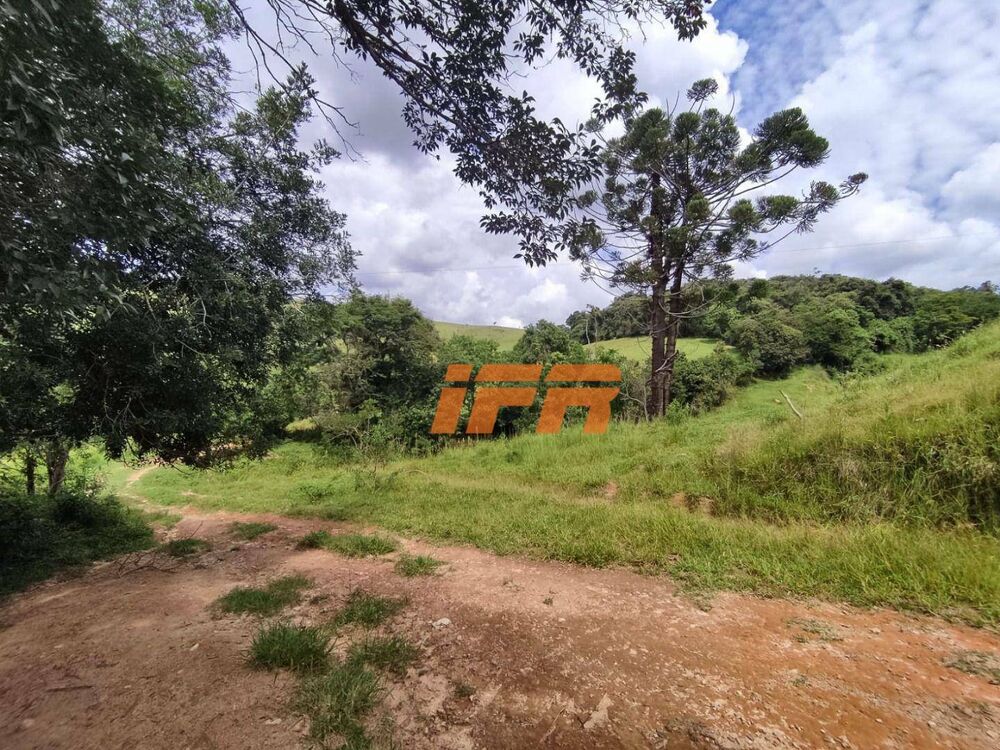 Sítio, 2 quartos, 46 hectares - Foto 6