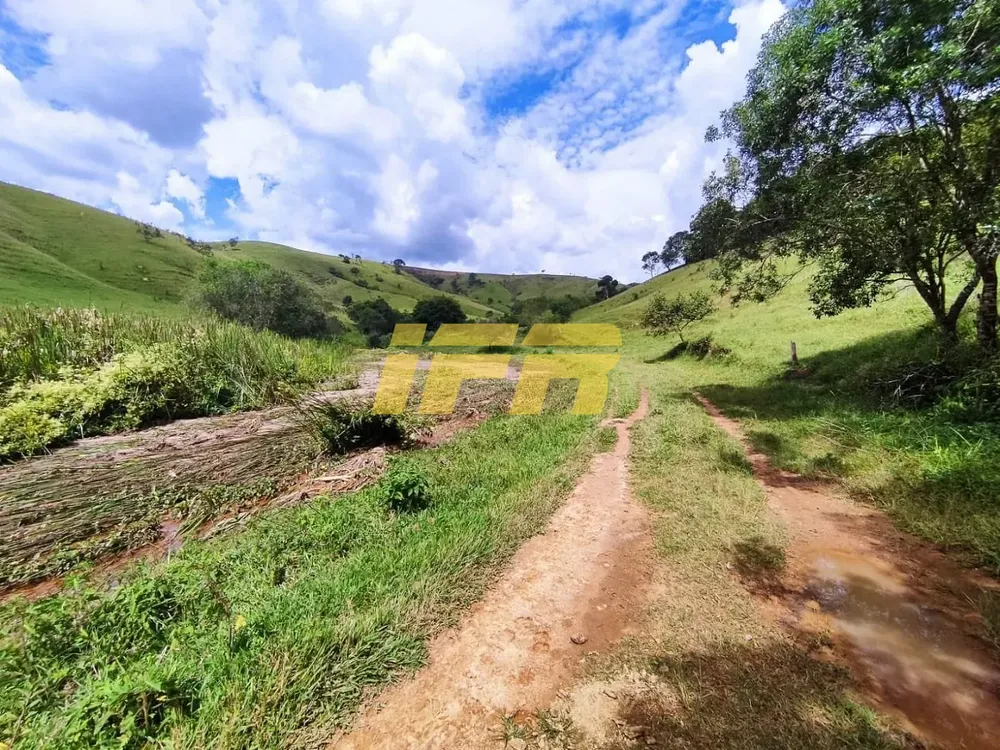 Fazenda, 46 hectares - Foto 7