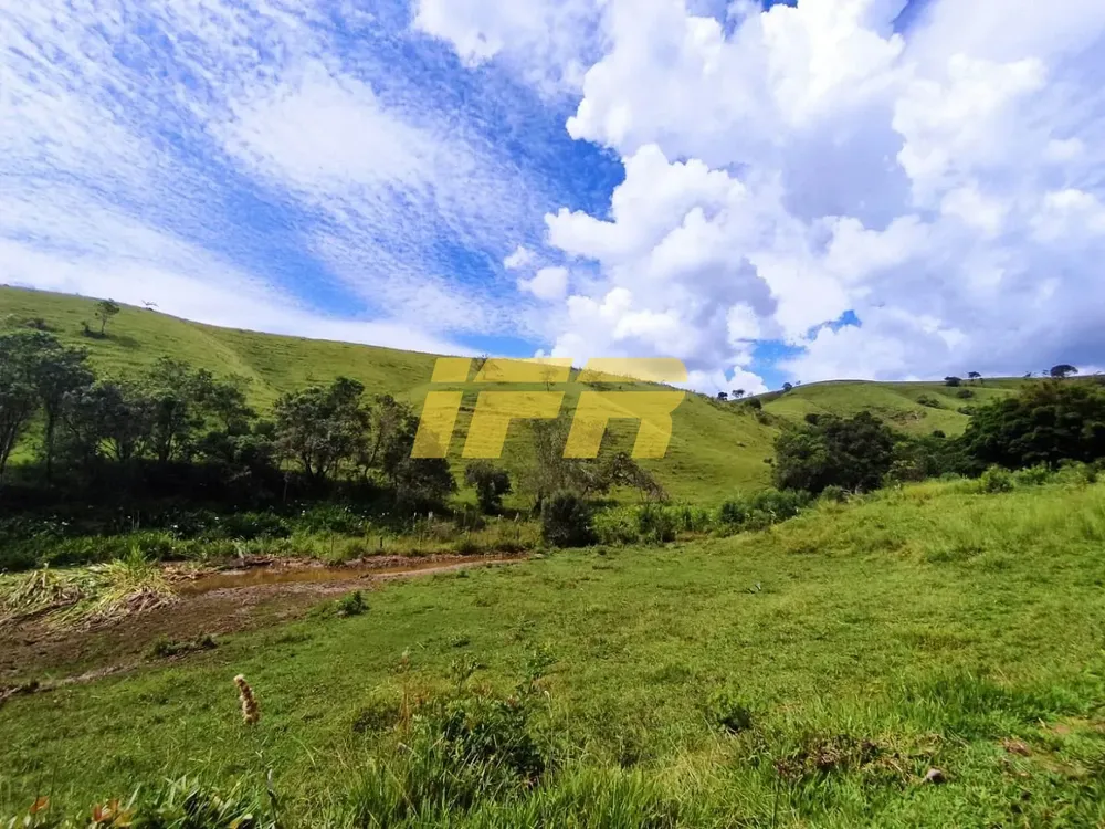 Fazenda, 46 hectares - Foto 6