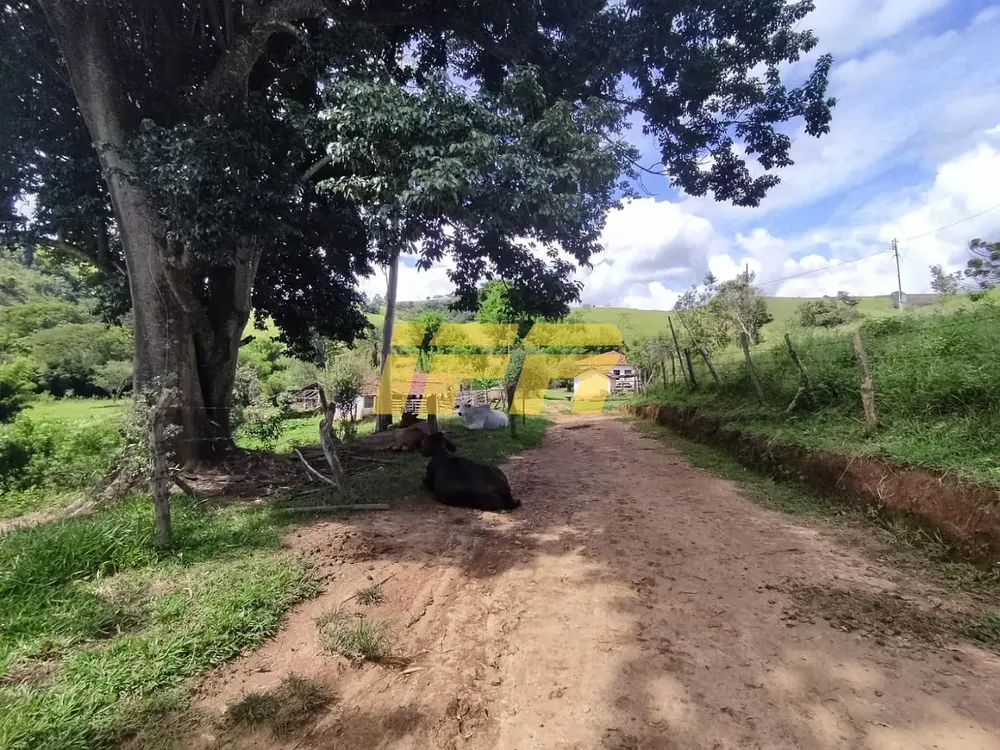 Fazenda, 46 hectares - Foto 12