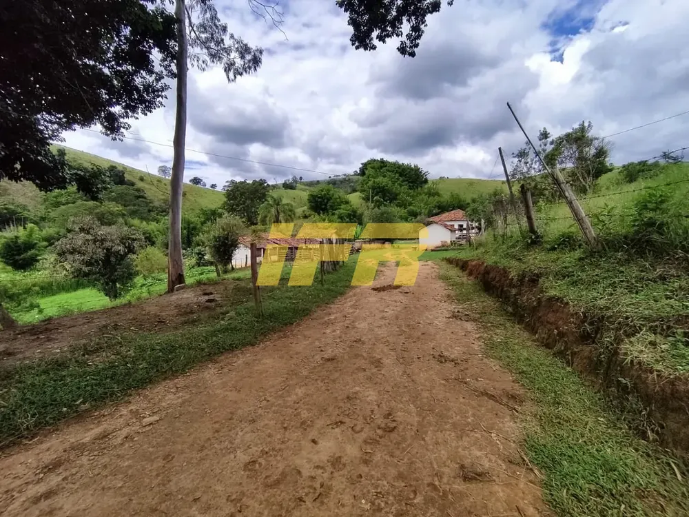 Fazenda, 46 hectares - Foto 2