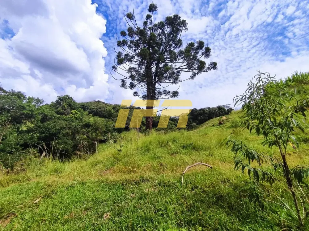 Fazenda, 46 hectares - Foto 3
