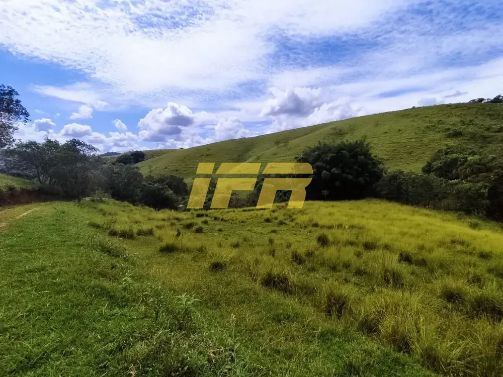 Fazenda, 46 hectares - Foto 8