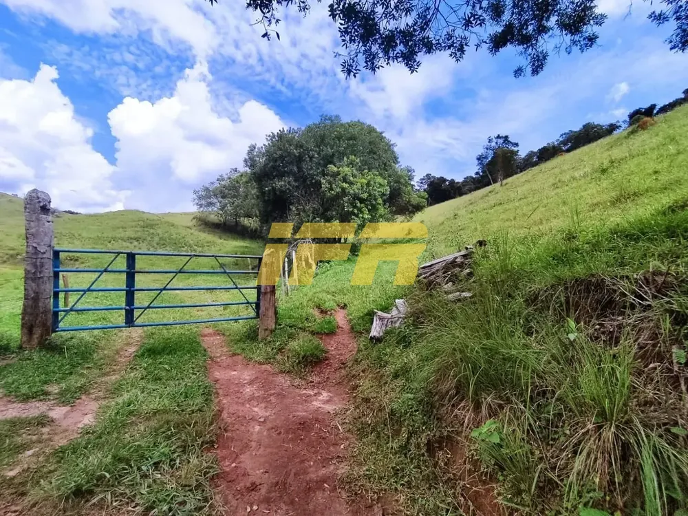 Fazenda, 46 hectares - Foto 4