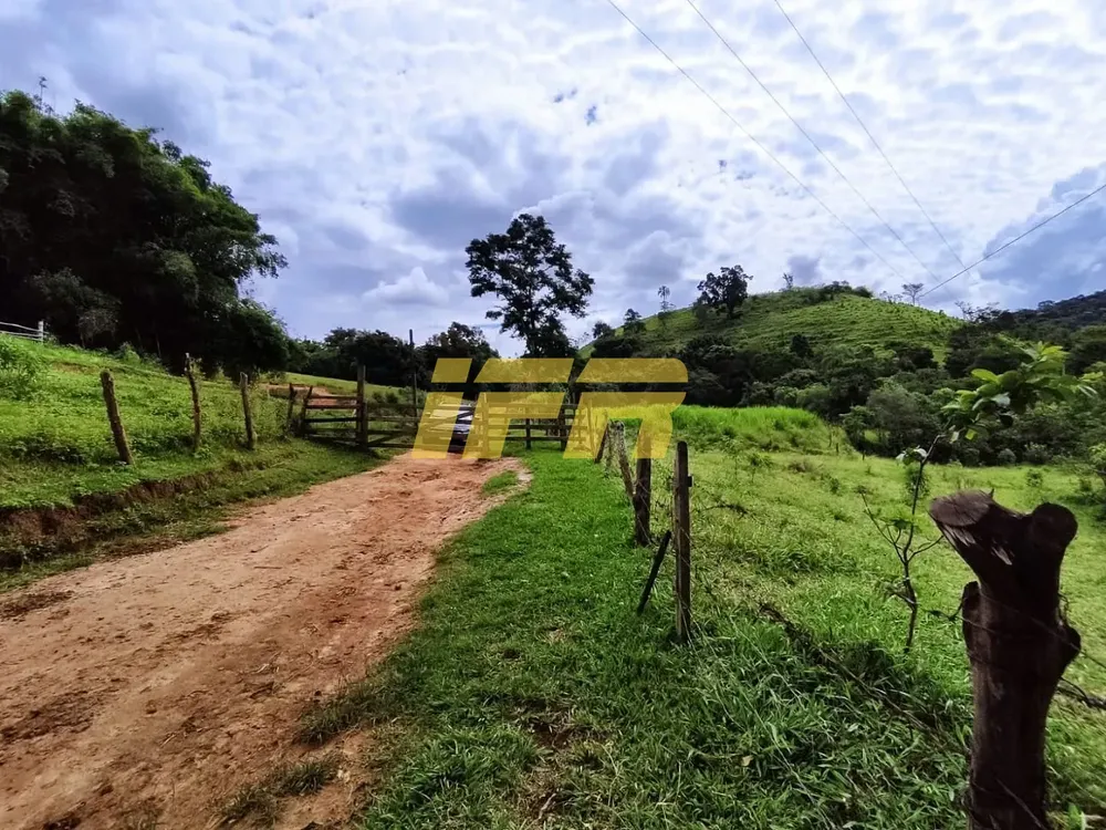Fazenda, 46 hectares - Foto 1