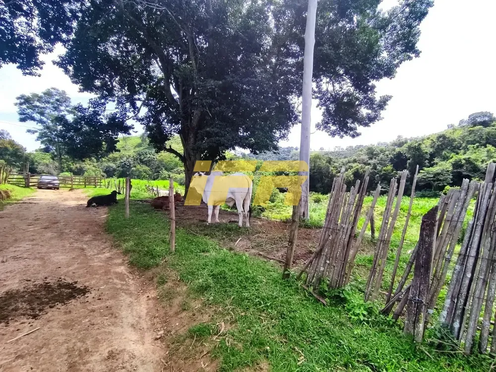 Fazenda, 46 hectares - Foto 11