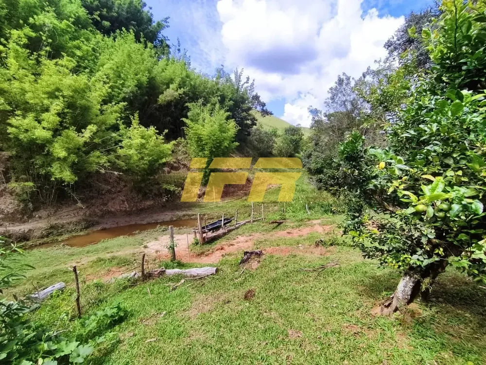 Fazenda, 46 hectares - Foto 10