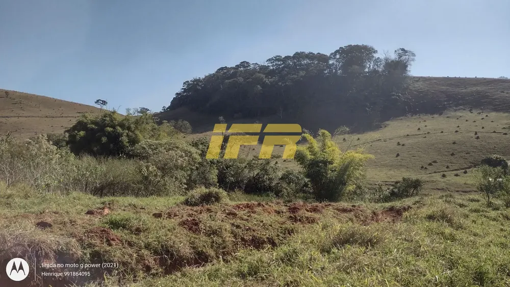 Fazenda, 99 hectares - Foto 4