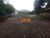 Terreno, 375 m² - Foto 2