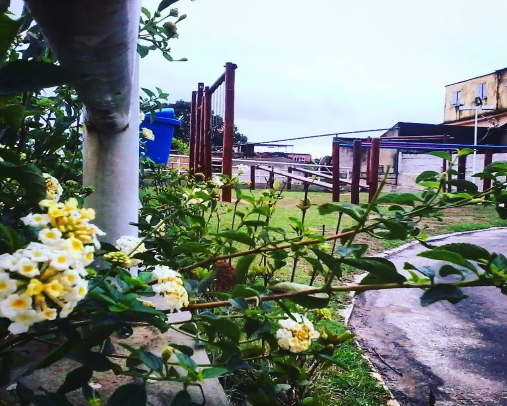 Apartamento, 2 quartos, 48 m² - Foto 8