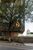 Sala-Conjunto, 532 m² - Foto 3