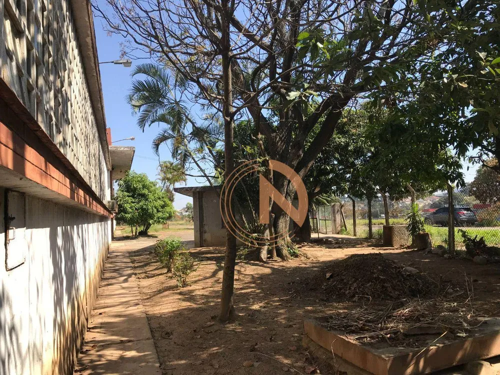 Terreno, 2 hectares - Foto 11