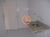 Apartamento, 3 quartos, 68 m² - Foto 3