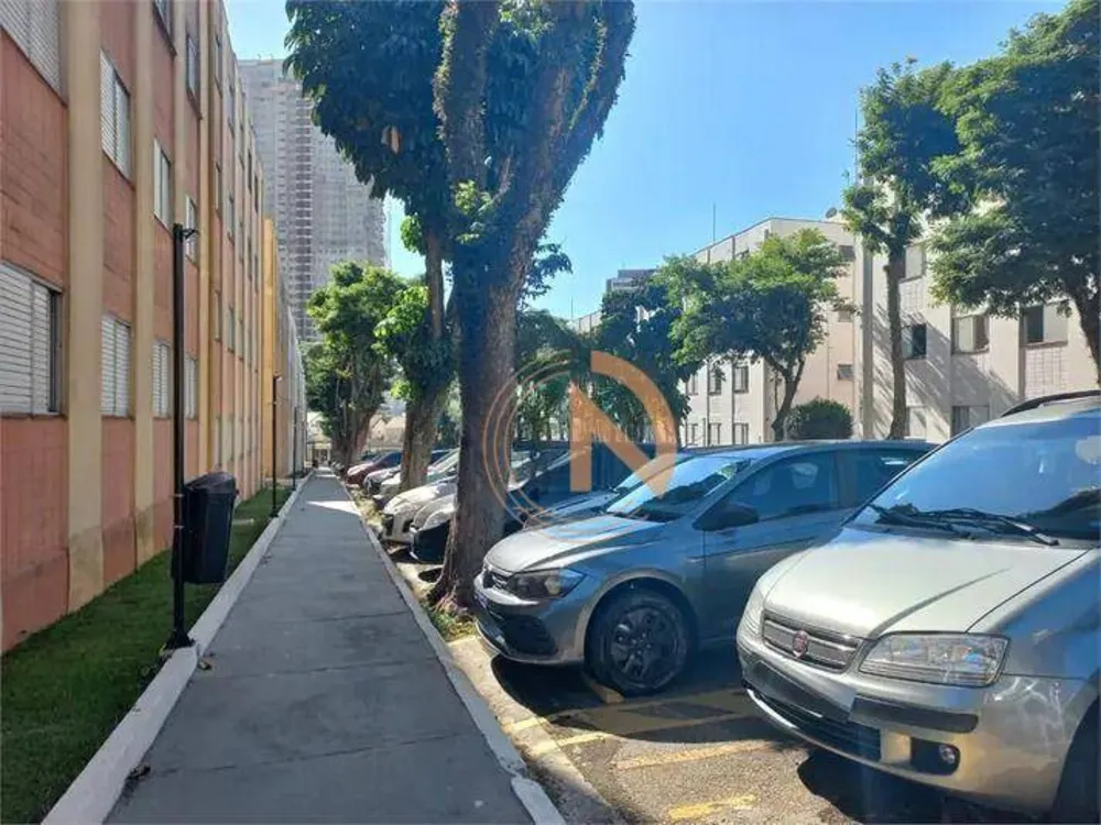Apartamento, 3 quartos, 60 m² - Foto 7