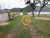 Terreno, 700 m² - Foto 3