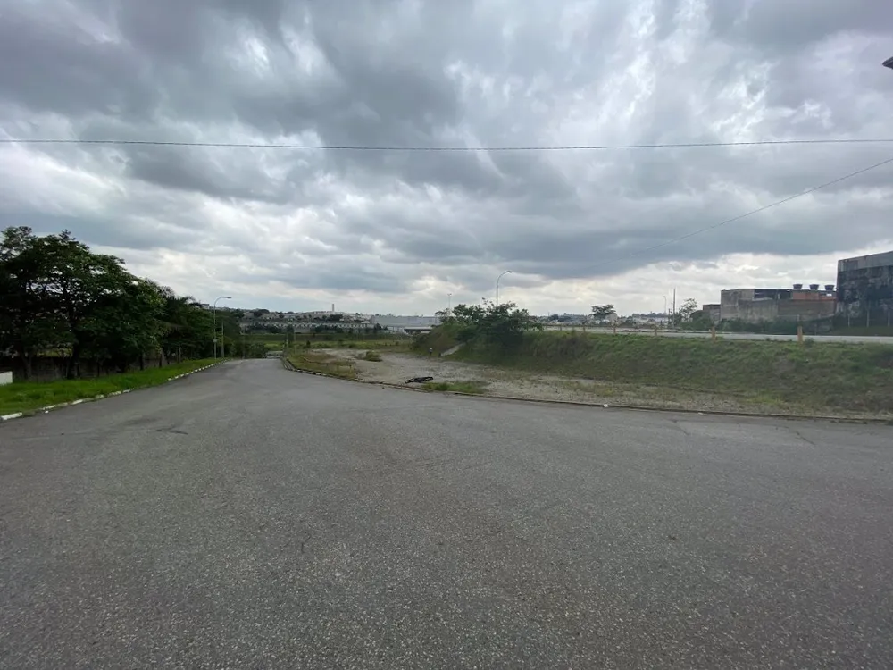 Terreno, 6 hectares - Foto 4