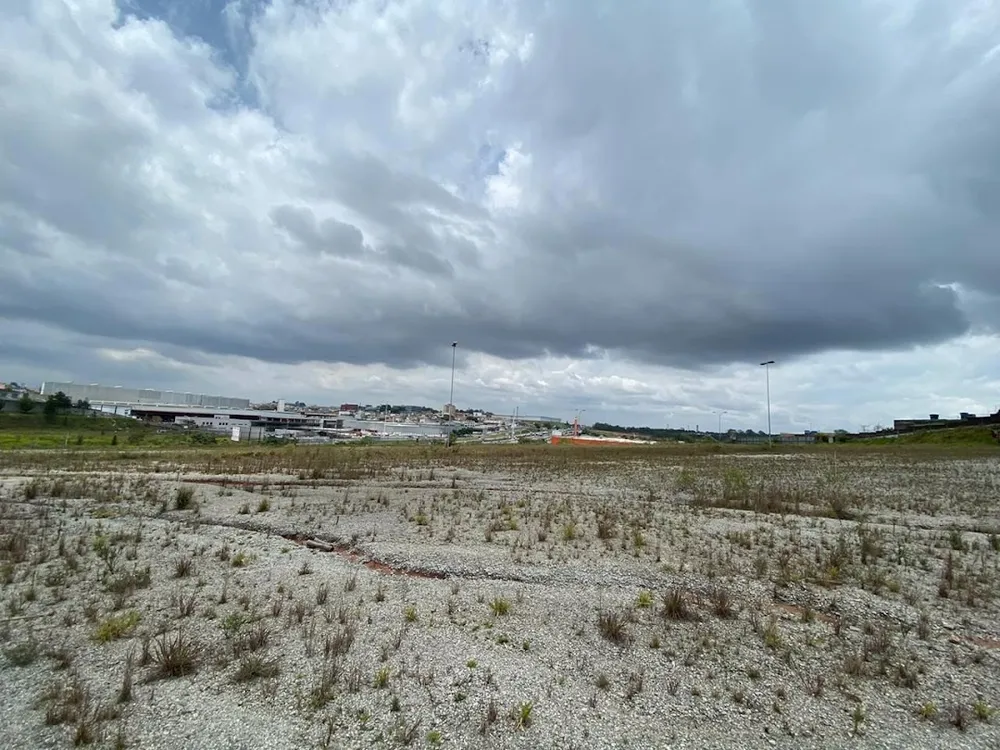 Terreno, 6 hectares - Foto 7
