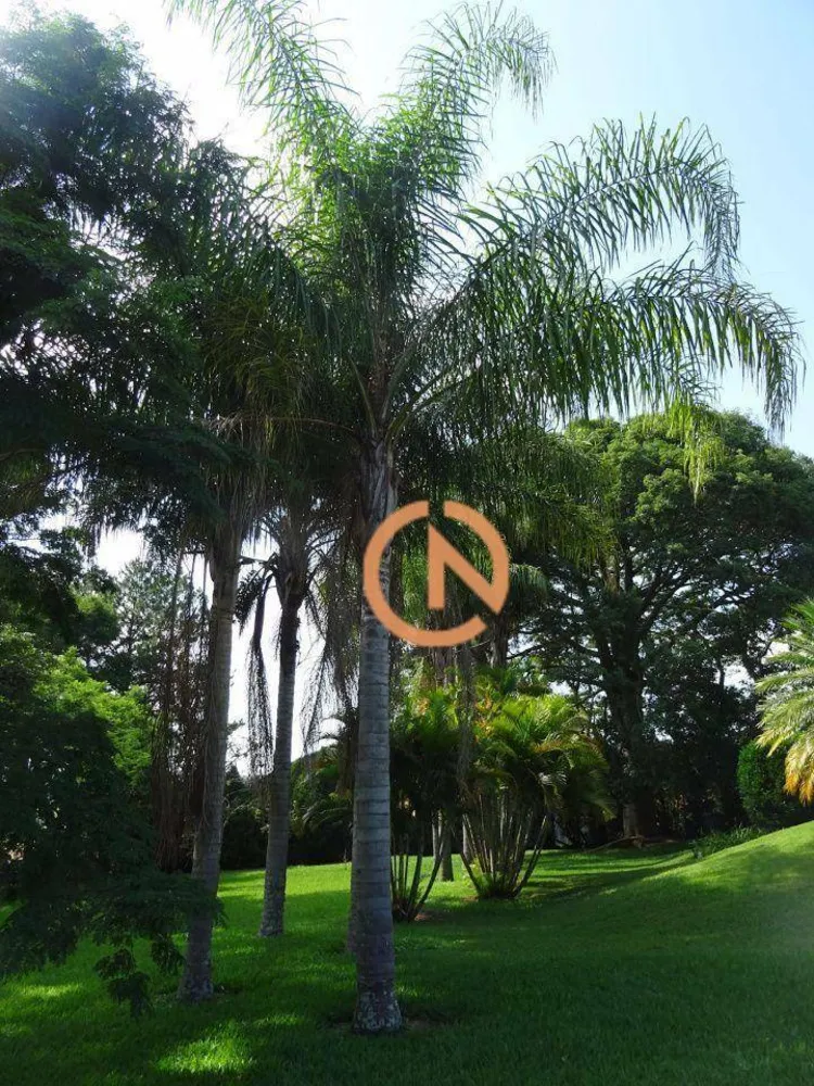 Sítio, 8 quartos, 1 hectares - Foto 11