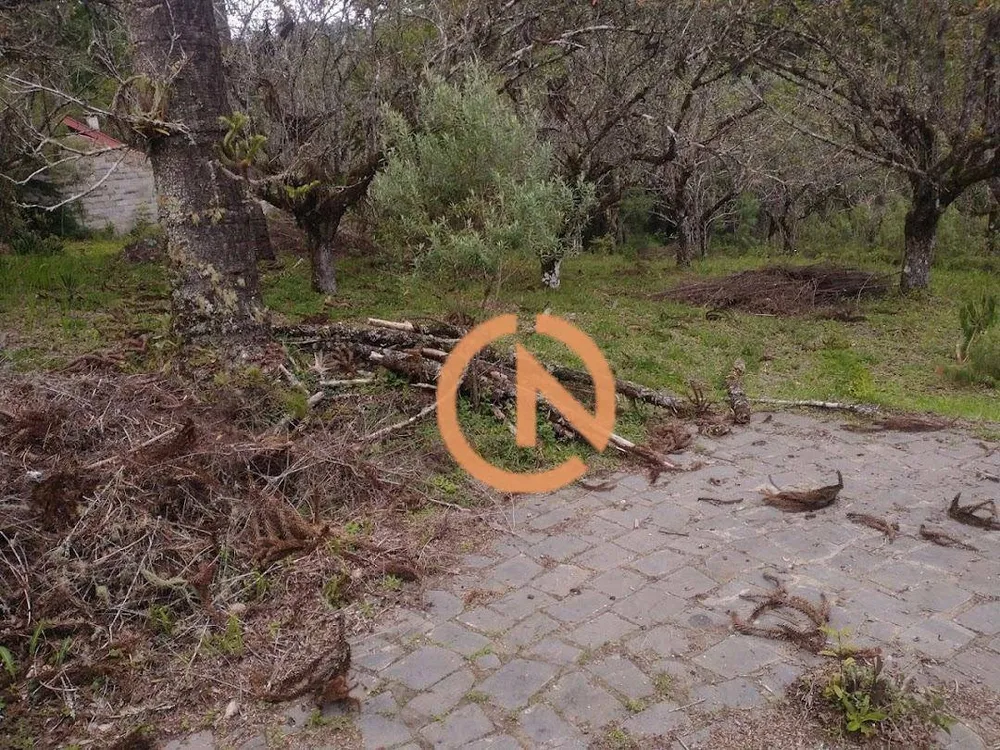 Terreno, 9565 m² - Foto 2