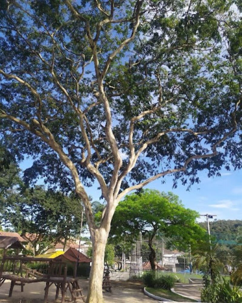 Loteamento e Condomínio, 180 m² - Foto 10