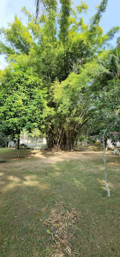 Sítio, 4 quartos, 2 hectares - Foto 4