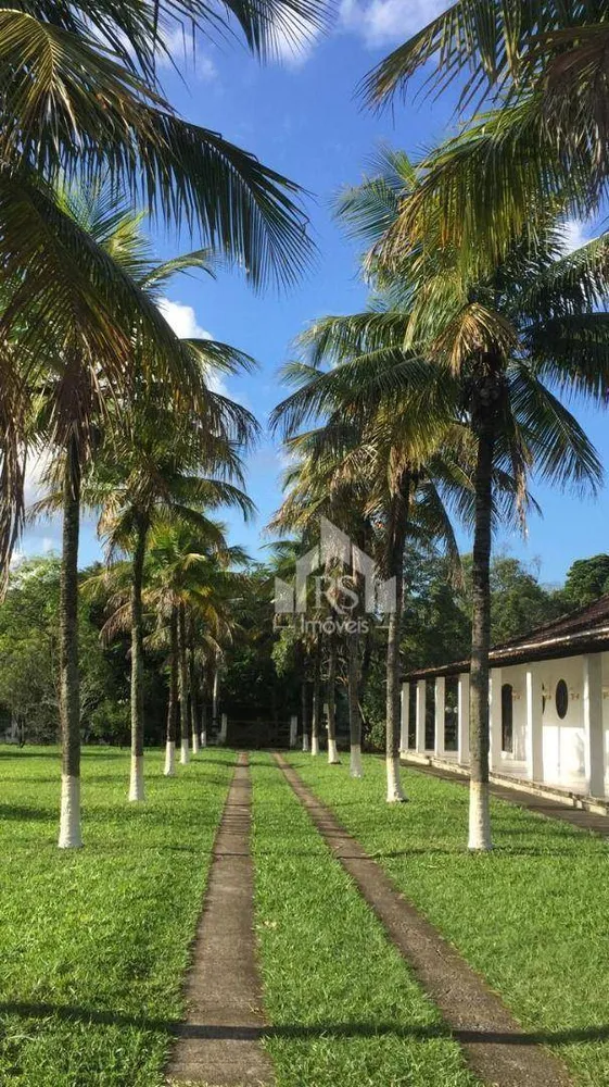 Sítio, 3 quartos, 10 hectares - Foto 14