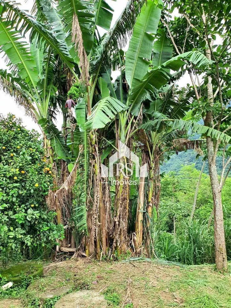 Chácara, 2 quartos, 1000 m² - Foto 16