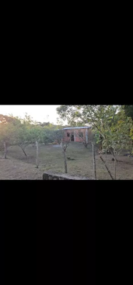 Chácara, 2 quartos, 2848 m² - Foto 11
