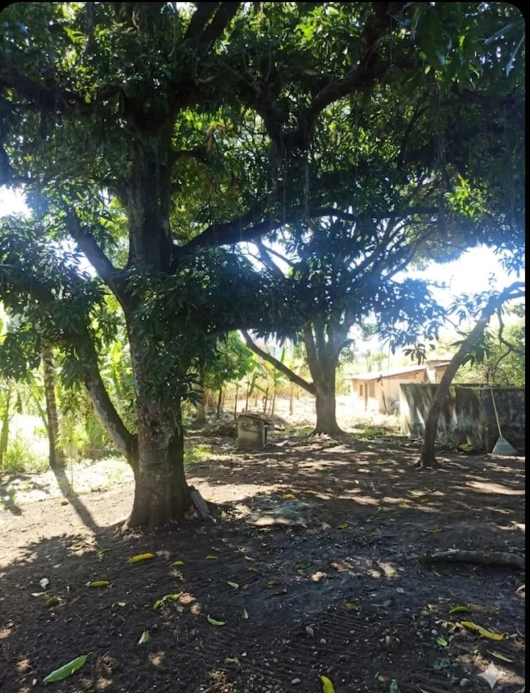 Casa, 2 quartos, 200 m² - Foto 9