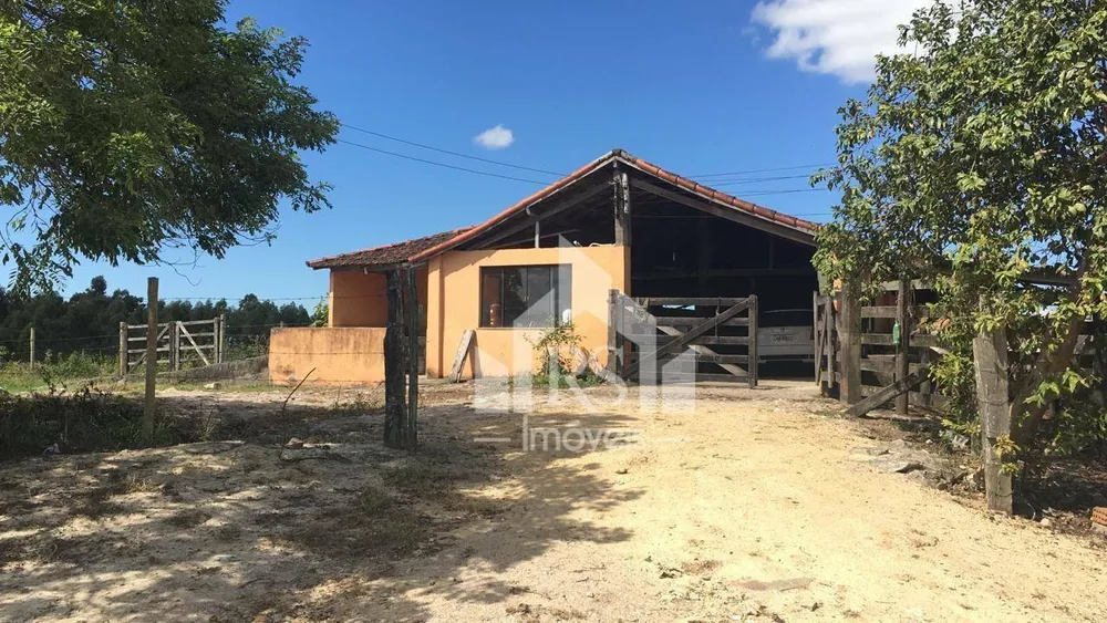 Fazenda, 252 hectares - Foto 4